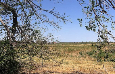 170 FM 694,Dalhart,Hartley,Texas,United States 79022,Undeveloped Property,FM 694,1080