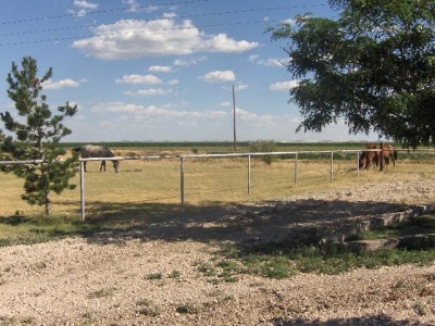 5511 FM 297,Cactus,Sherman,Texas,United States 79013,3 Bedrooms Bedrooms,2.5 BathroomsBathrooms,Single Family Home,FM 297,1082