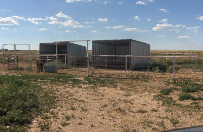 FM 297,Cactus,Sherman,Texas,United States 79013,3 Bedrooms Bedrooms,2.5 BathroomsBathrooms,Single Family Home,FM 297,1083