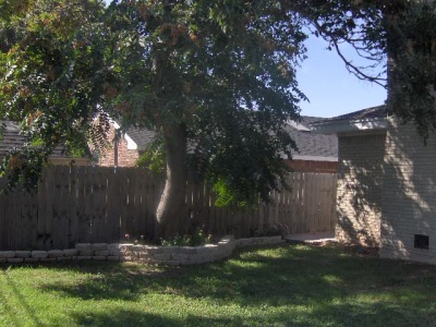 1709 Oak Avenue,Dalhart,Hartley,Texas,United States 79022,3 Bedrooms Bedrooms,1.75 BathroomsBathrooms,Single Family Home,Oak Avenue,1101