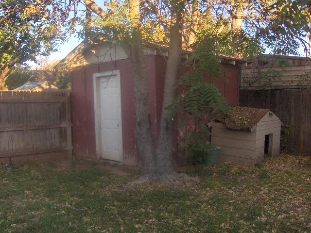 1422 Walnut Avenue,Dalhart,Hartley,Texas,United States 79022,3 Bedrooms Bedrooms,1.75 BathroomsBathrooms,Single Family Home,Walnut Avenue,1106