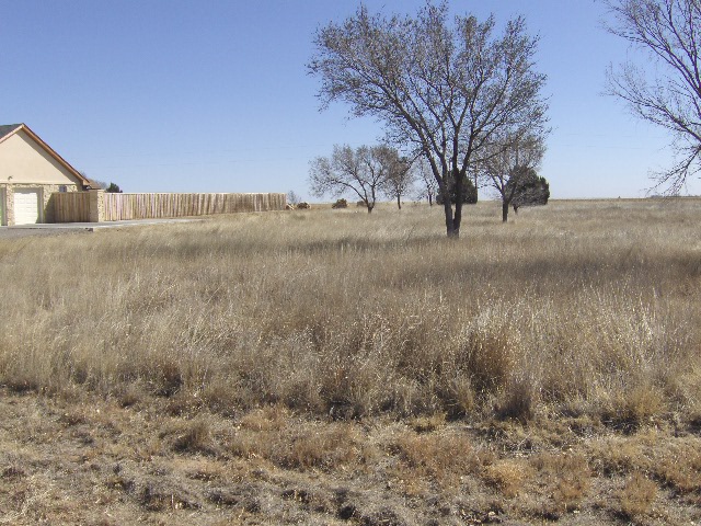 22 Pheasant Run, Dalhart, Hartley, Texas, United States 79022, ,Undeveloped Property,Sold Properties,Pheasant Run,1126