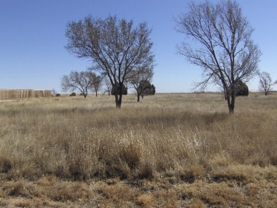 22 Pheasant Run, Dalhart, Hartley, Texas, United States 79022, ,Undeveloped Property,Sold Properties,Pheasant Run,1126