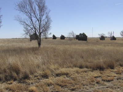 22 Pheasant Run, Dalhart, Hartley, Texas, United States 79022, ,Undeveloped Property,Sold Properties,Pheasant Run,1126