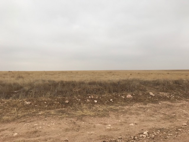 Kerrick,Sherman,Texas,United States 79051,Undeveloped Property,1132
