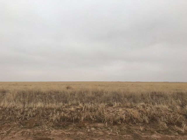 Kerrick,Sherman,Texas,United States 79051,Undeveloped Property,1132