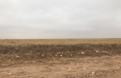 Kerrick,Sherman,Texas,United States 79051,Undeveloped Property,1132