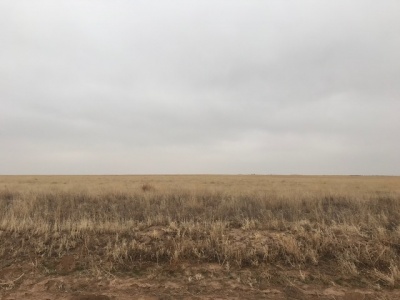 Kerrick,Sherman,Texas,United States 79051,Undeveloped Property,1132