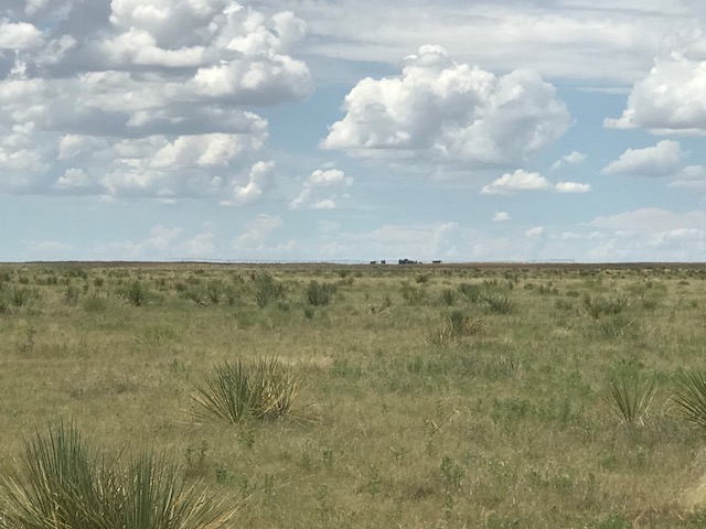 FM 296,Texline,Dallam,Texas,United States 79087,Undeveloped Property,FM 296,1144