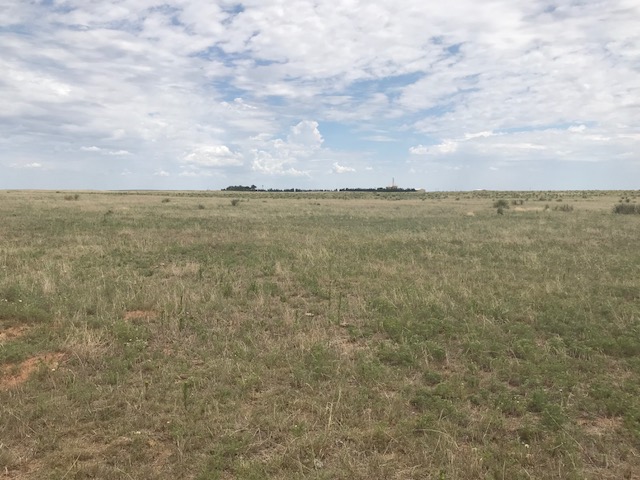 FM 296,Texline,Dallam,Texas,United States 79087,Undeveloped Property,FM 296,1144