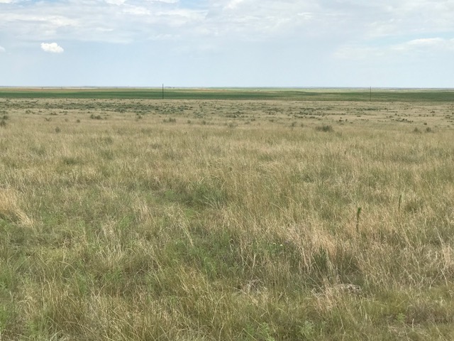 FM 296,Texline,Dallam,Texas,United States 79087,Undeveloped Property,FM 296,1144