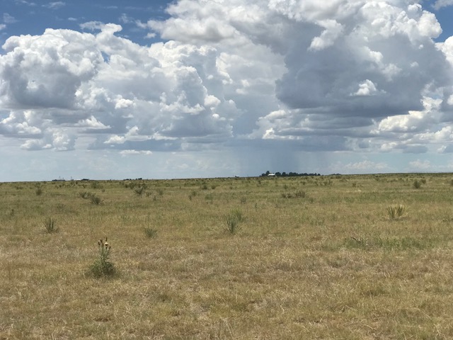 FM 296,Texline,Dallam,Texas,United States 79087,Undeveloped Property,FM 296,1144