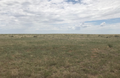 FM 296,Texline,Dallam,Texas,United States 79087,Undeveloped Property,FM 296,1144