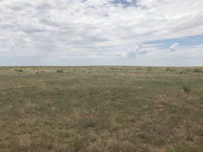 FM 296,Texline,Dallam,Texas,United States 79087,Undeveloped Property,FM 296,1144