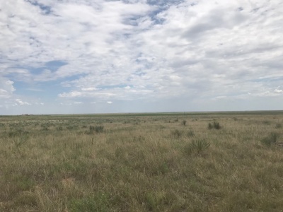 FM 296,Texline,Dallam,Texas,United States 79087,Undeveloped Property,FM 296,1144