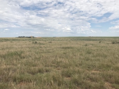 FM 296,Texline,Dallam,Texas,United States 79087,Undeveloped Property,FM 296,1144