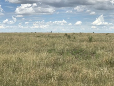 FM 296,Texline,Dallam,Texas,United States 79087,Undeveloped Property,FM 296,1144