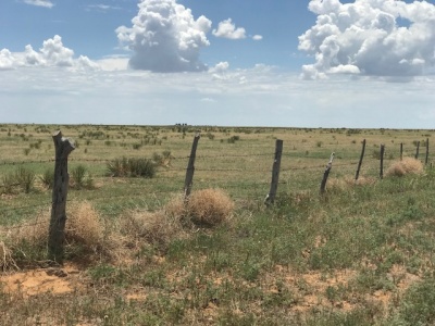 FM 296,Texline,Dallam,Texas,United States 79087,Undeveloped Property,FM 296,1144