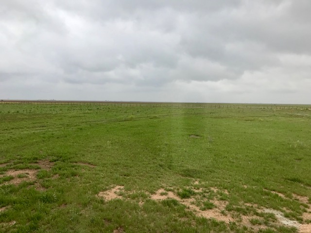 11545 FM 998,Dalhart,Hartley,Texas,United States 79022,3 Bedrooms Bedrooms,1 BathroomBathrooms,Single Family Home,FM 998,1181