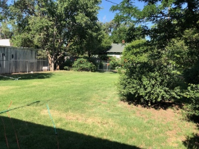 402 Conlen Ave, Dalhart, Dallam, Texas, United States 79022, 2 Bedrooms Bedrooms, ,1 BathroomBathrooms,Single Family Home,Sold Properties,Conlen Ave,1189