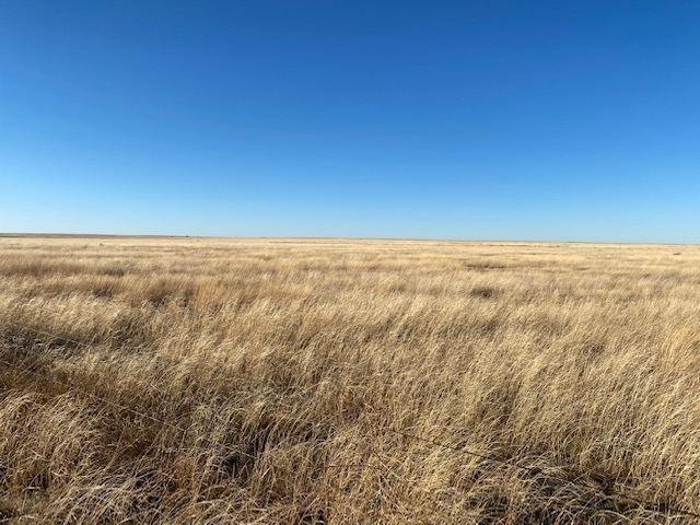 FM 296, Texline, Dallam, Texas, United States 79087, ,Undeveloped Property,Farm and Ranch Properties,FM 296,1249