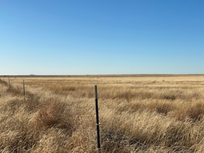 FM 296, Texline, Dallam, Texas, United States 79087, ,Undeveloped Property,Farm and Ranch Properties,FM 296,1249