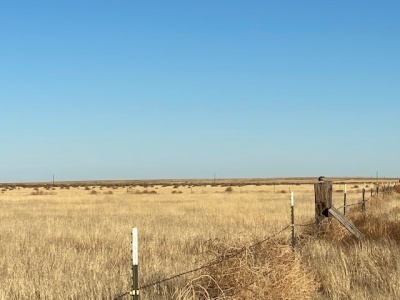 FM 296, Texline, Dallam, Texas, United States 79087, ,Undeveloped Property,Farm and Ranch Properties,FM 296,1249
