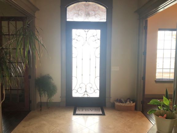 Steel/Glass  Entry Door