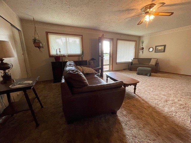 224 Avenue B, Dalhart, Hartley, Texas, United States 79022, 3 Bedrooms Bedrooms, ,2 BathroomsBathrooms,Single Family Home,Sold Properties,Avenue B,1296