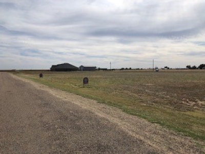4-5 Prairie View Road, Dalhart, Hartley, Texas, United States 79022, ,Undeveloped Property,Sold Properties,Prairie View Road,1300