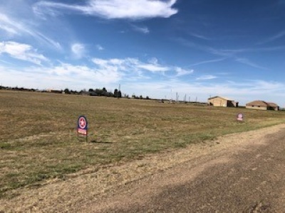 4-5 Prairie View Road, Dalhart, Hartley, Texas, United States 79022, ,Undeveloped Property,Sold Properties,Prairie View Road,1300