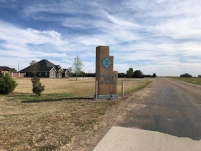 4-5 Prairie View Road, Dalhart, Hartley, Texas, United States 79022, ,Undeveloped Property,Sold Properties,Prairie View Road,1300