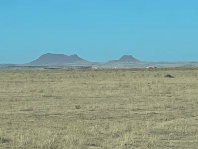 Keller & Shamburger, Texline, Dallam, Texas, United States 79087, ,Undeveloped Property,Farm and Ranch Properties,1311