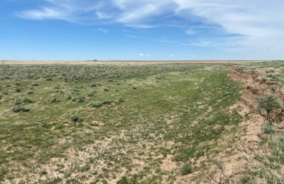 Address not available!, ,Undeveloped Property,Farm and Ranch Properties,1315