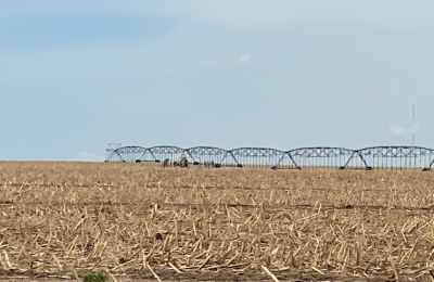 Address not available!, ,Undeveloped Property,Farm and Ranch Properties,1315