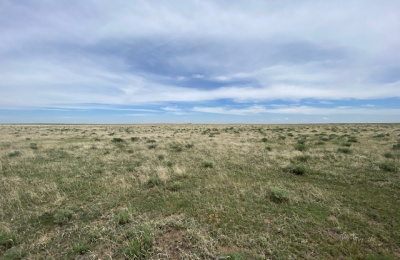 Address not available!, ,Undeveloped Property,Farm and Ranch Properties,1315