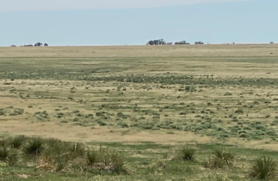 Address not available!, ,Undeveloped Property,Farm and Ranch Properties,1315