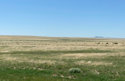 Address not available!, ,Undeveloped Property,Farm and Ranch Properties,1315