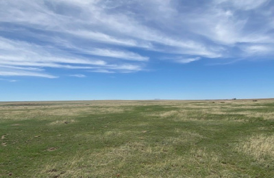 Address not available!, ,Undeveloped Property,Farm and Ranch Properties,1315