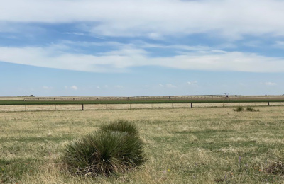 Address not available!, ,Undeveloped Property,Farm and Ranch Properties,1315