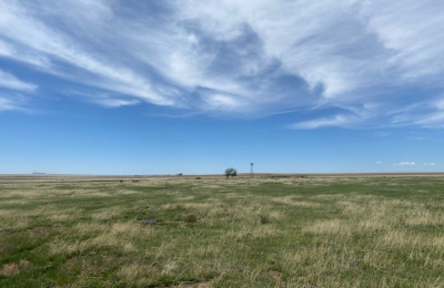 Address not available!, ,Undeveloped Property,Farm and Ranch Properties,1315