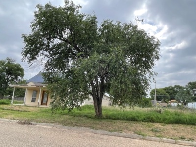 1009 Peters, Dalhart, Dallam, Texas, United States 79022, ,Single Family Home,Sold Properties,Peters ,1368