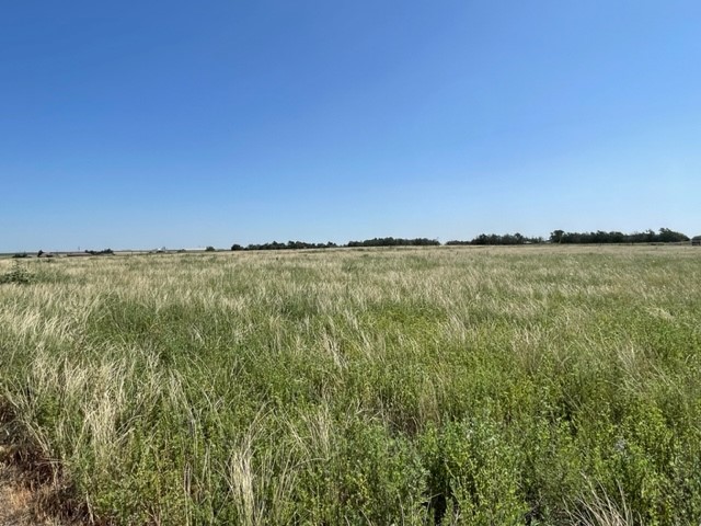 170 FM 694, Dalhart, Hartley, Texas, United States 79022, 2 Bedrooms Bedrooms, ,2 BathroomsBathrooms,Single Family Home,Sold Properties,FM 694,1372