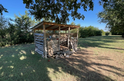 845 Hwy 102, Dalhart, Dallam, Texas, United States 79022, 5 Bedrooms Bedrooms, ,3 BathroomsBathrooms,Single Family Home,Sold Properties,Hwy 102,1426