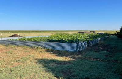 845 Hwy 102, Dalhart, Dallam, Texas, United States 79022, 5 Bedrooms Bedrooms, ,3 BathroomsBathrooms,Single Family Home,Sold Properties,Hwy 102,1426