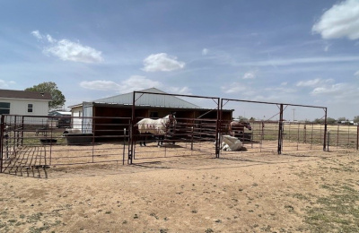 519 Spruce, Stratford, Sherman, Texas, United States 79084, 4 Bedrooms Bedrooms, ,3 BathroomsBathrooms,Single Family Home,Residential Properties,Spruce,1452