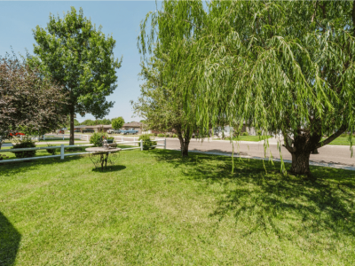 1813 Purple Sage, Dalhart, Dallam, Texas, United States 79022, 3 Bedrooms Bedrooms, ,2 BathroomsBathrooms,Single Family Home,Residential Properties,Purple Sage,1483
