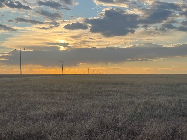 Stratford, 0 , 0 ,0,Single Family Home,Residential Properties,0,1533