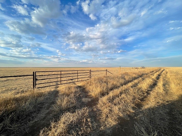 Stratford, 0 , 0 ,0,Single Family Home,Residential Properties,0,1533