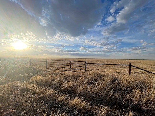 Stratford, 0 , 0 ,0,Single Family Home,Residential Properties,0,1533